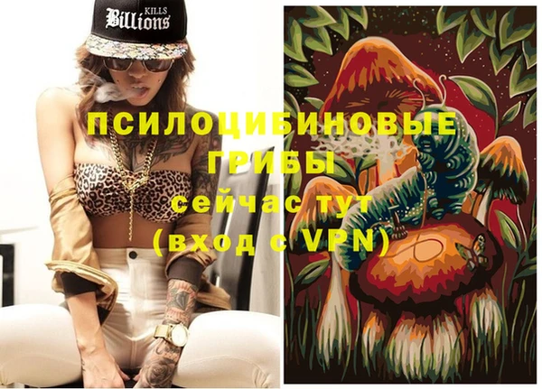 мет Приозерск