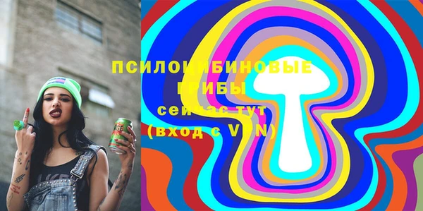 ГАЛЛЮЦИНОГЕННЫЕ ГРИБЫ Абдулино