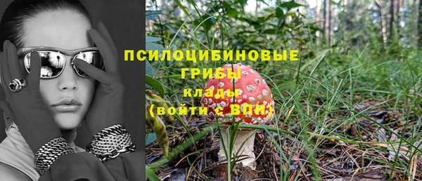 мдпв Верхний Тагил
