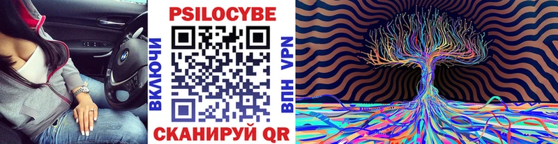 Галлюциногенные грибы MAGIC MUSHROOMS  купить наркоту  Весьегонск 